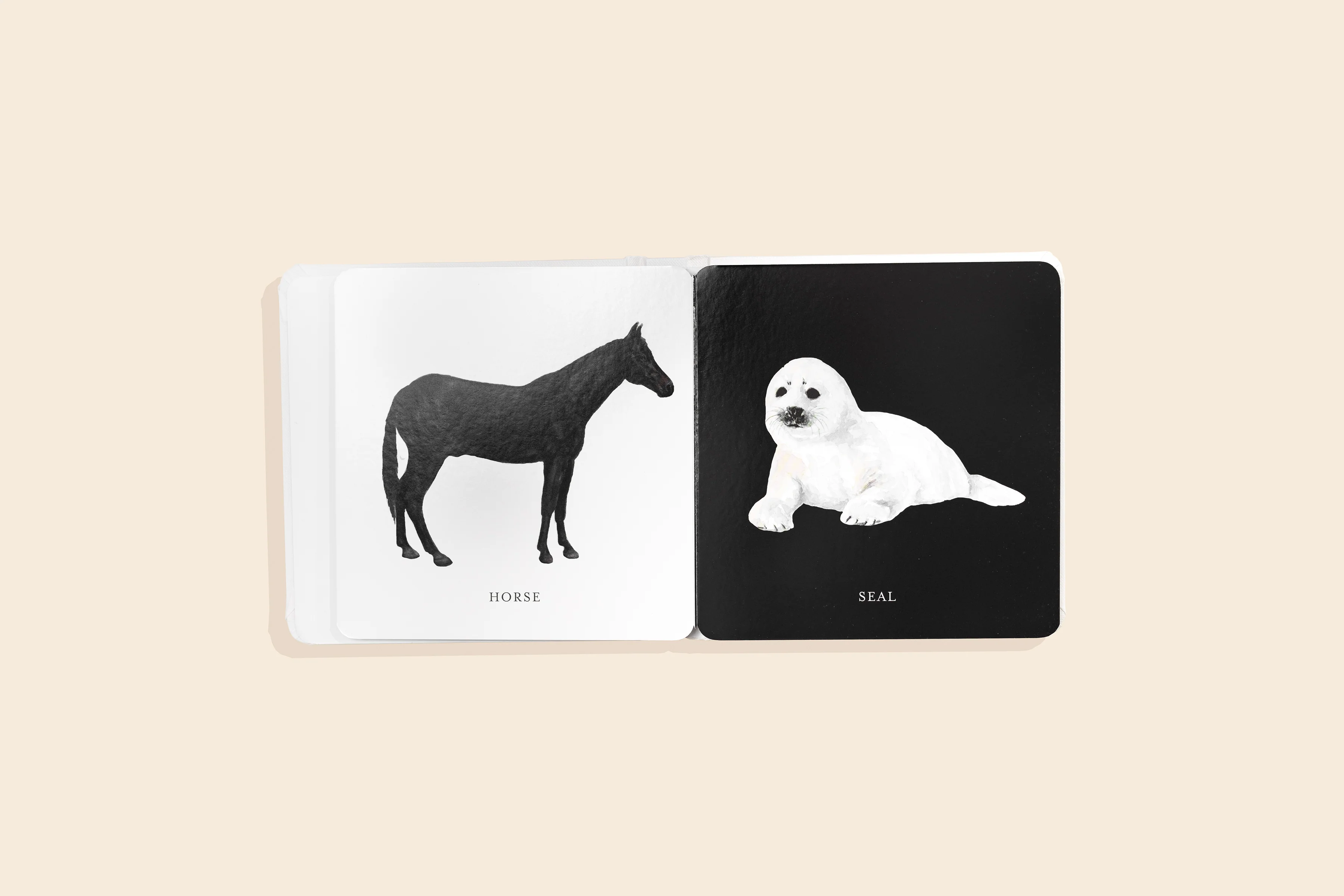 Baby's Black & White Contrast Book - Image 5