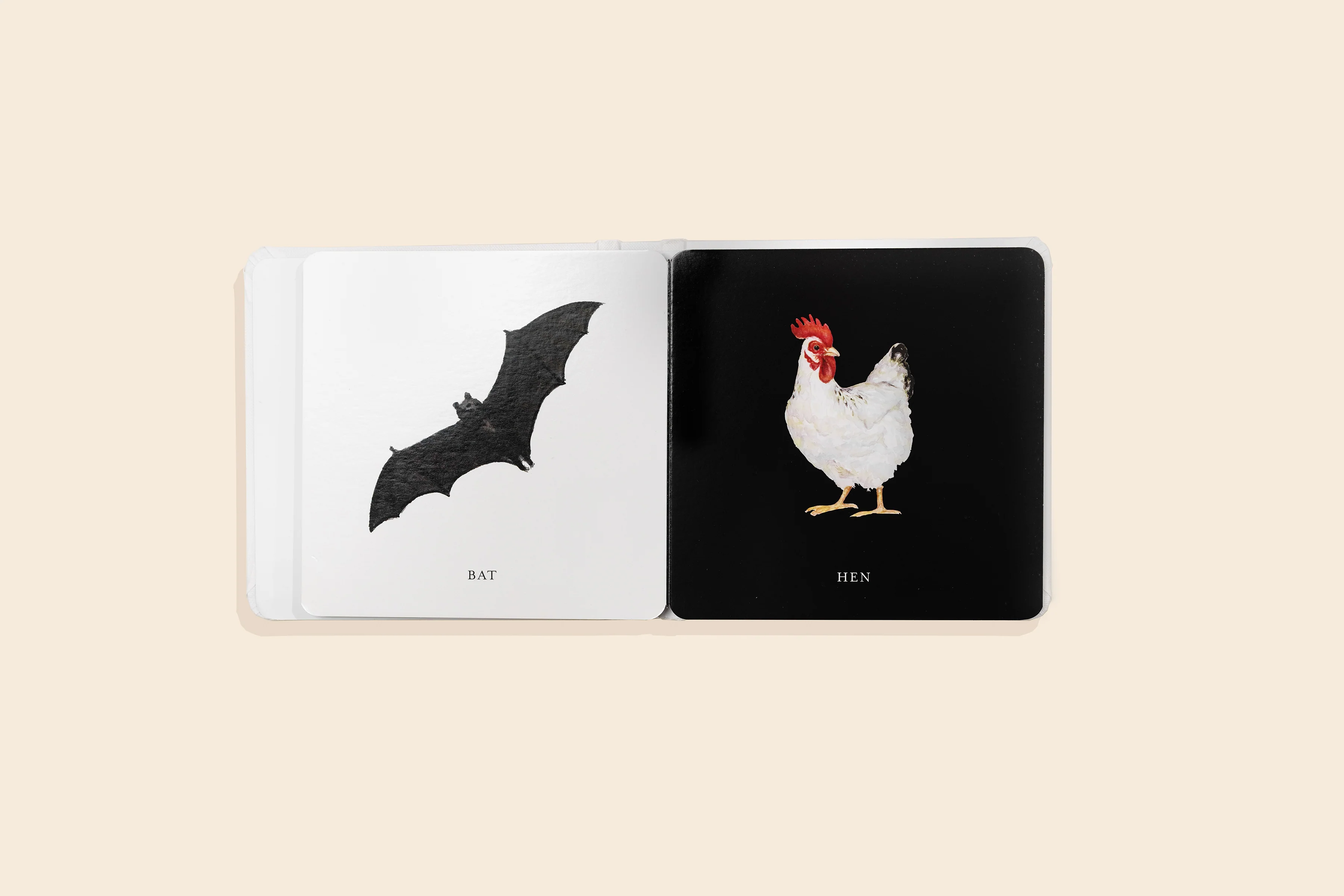 Baby's Black & White Contrast Book - Image 6