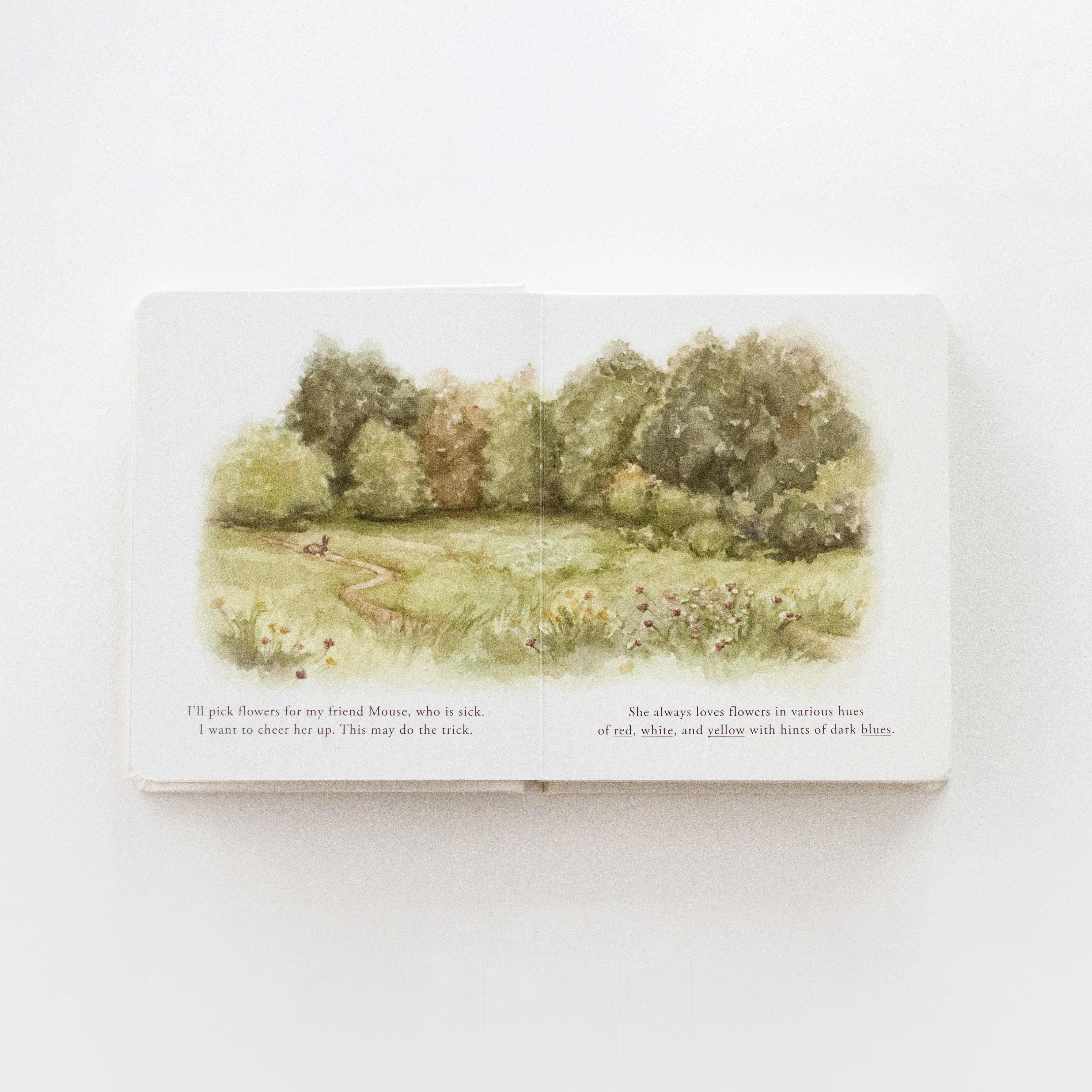 Our Little Adventures Book Set - Image 6