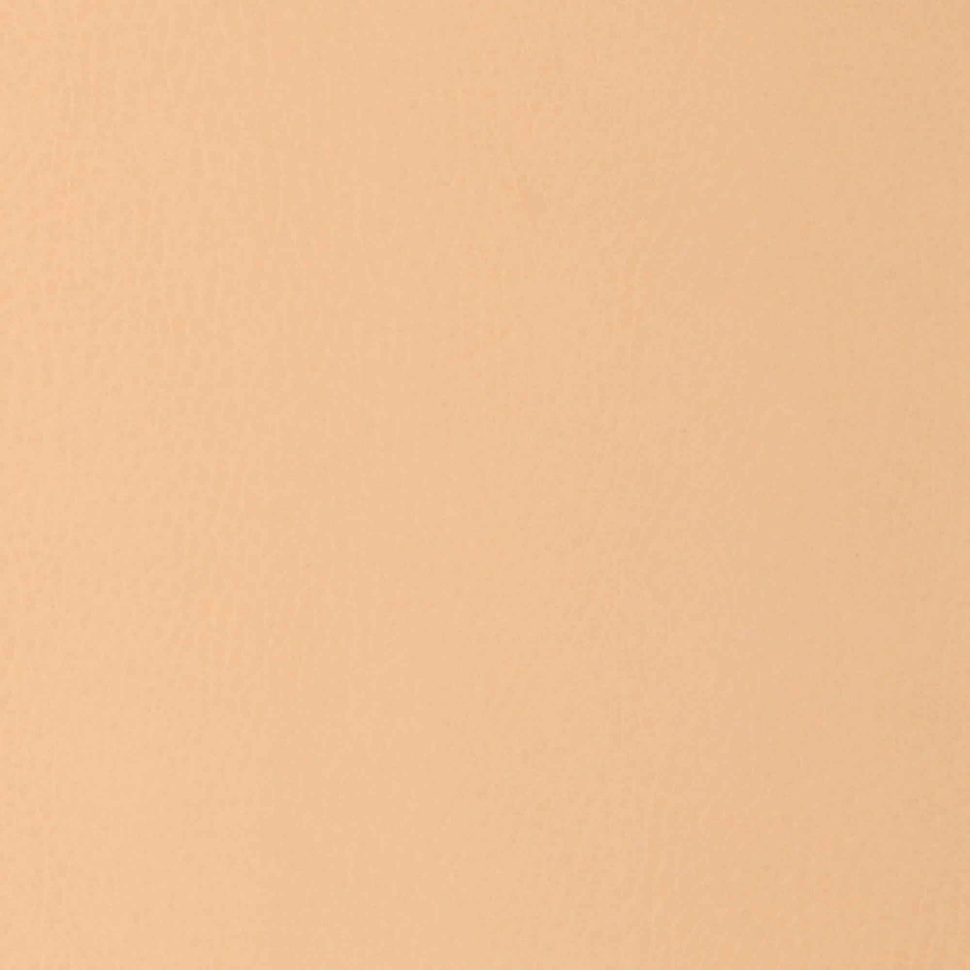 Swatches - Colors - Image 21
