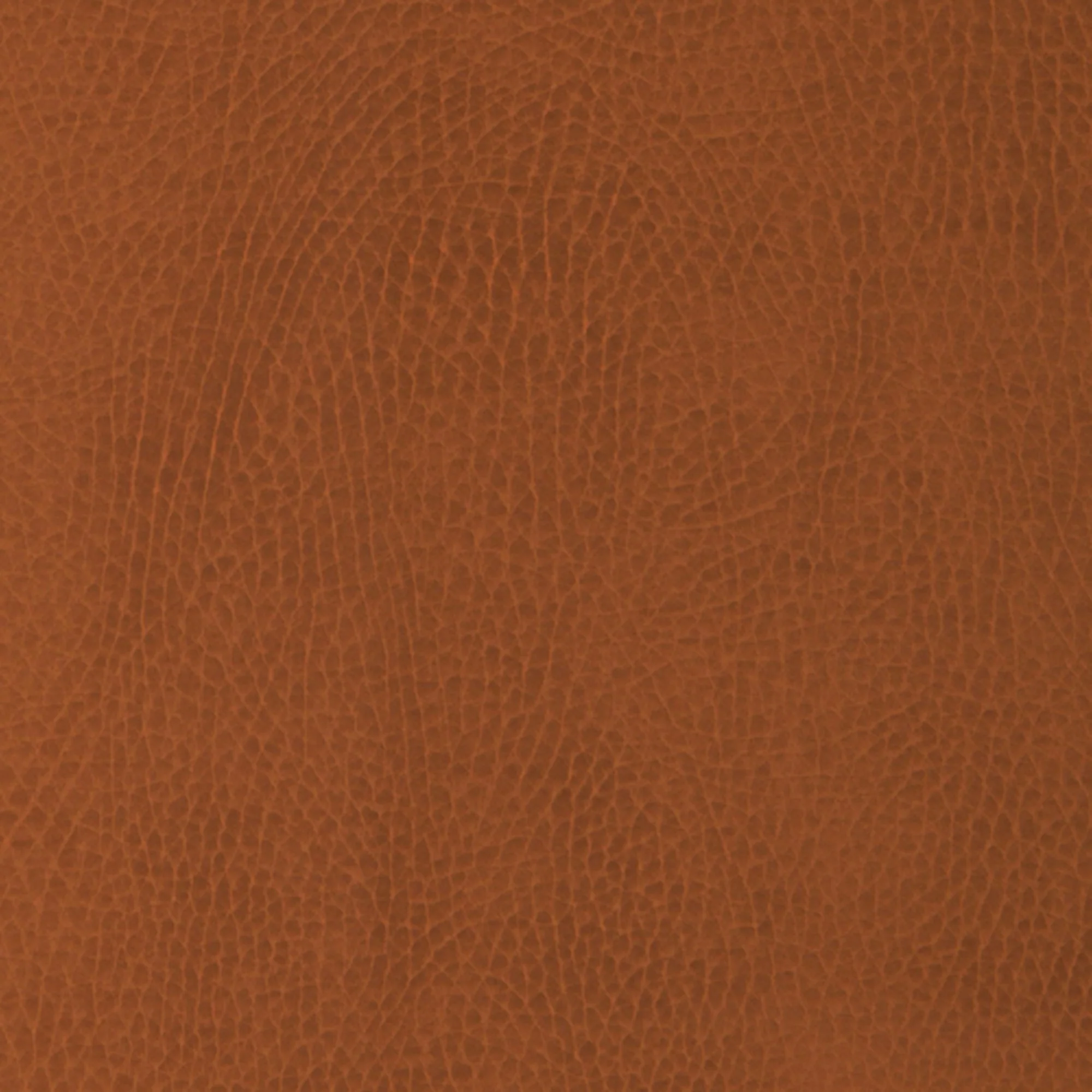 Swatches - Colors - Image 38