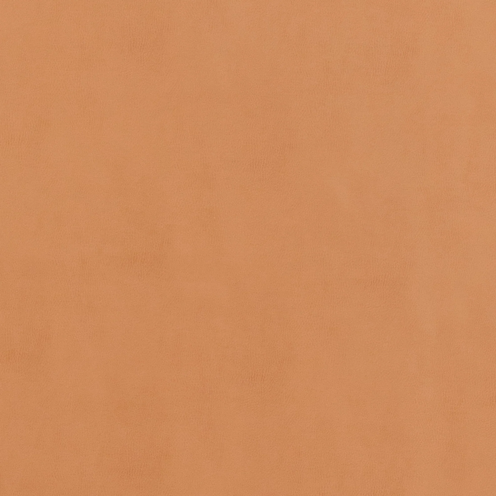 Swatches - Colors - Image 40