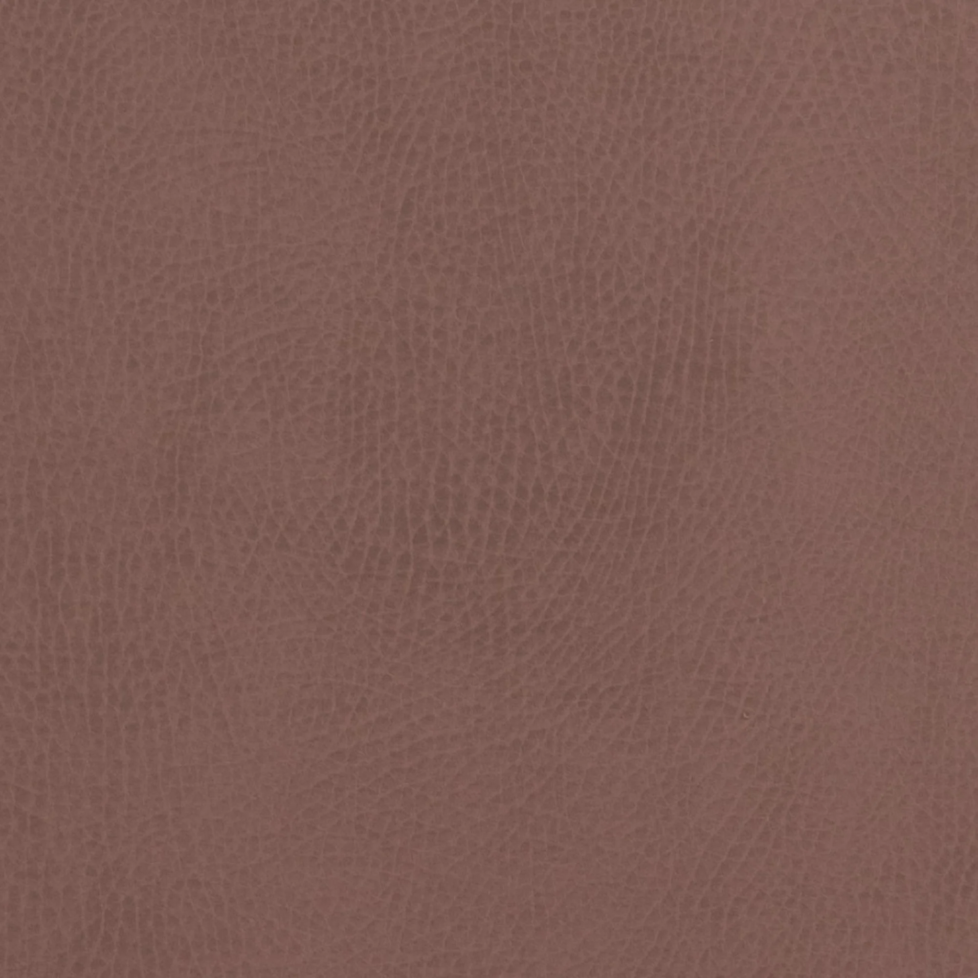 Swatches - Colors - Image 47