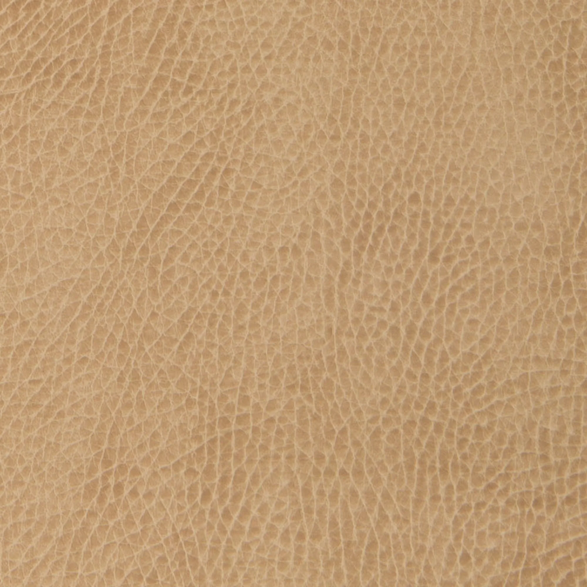 Swatches - Colors - Image 5