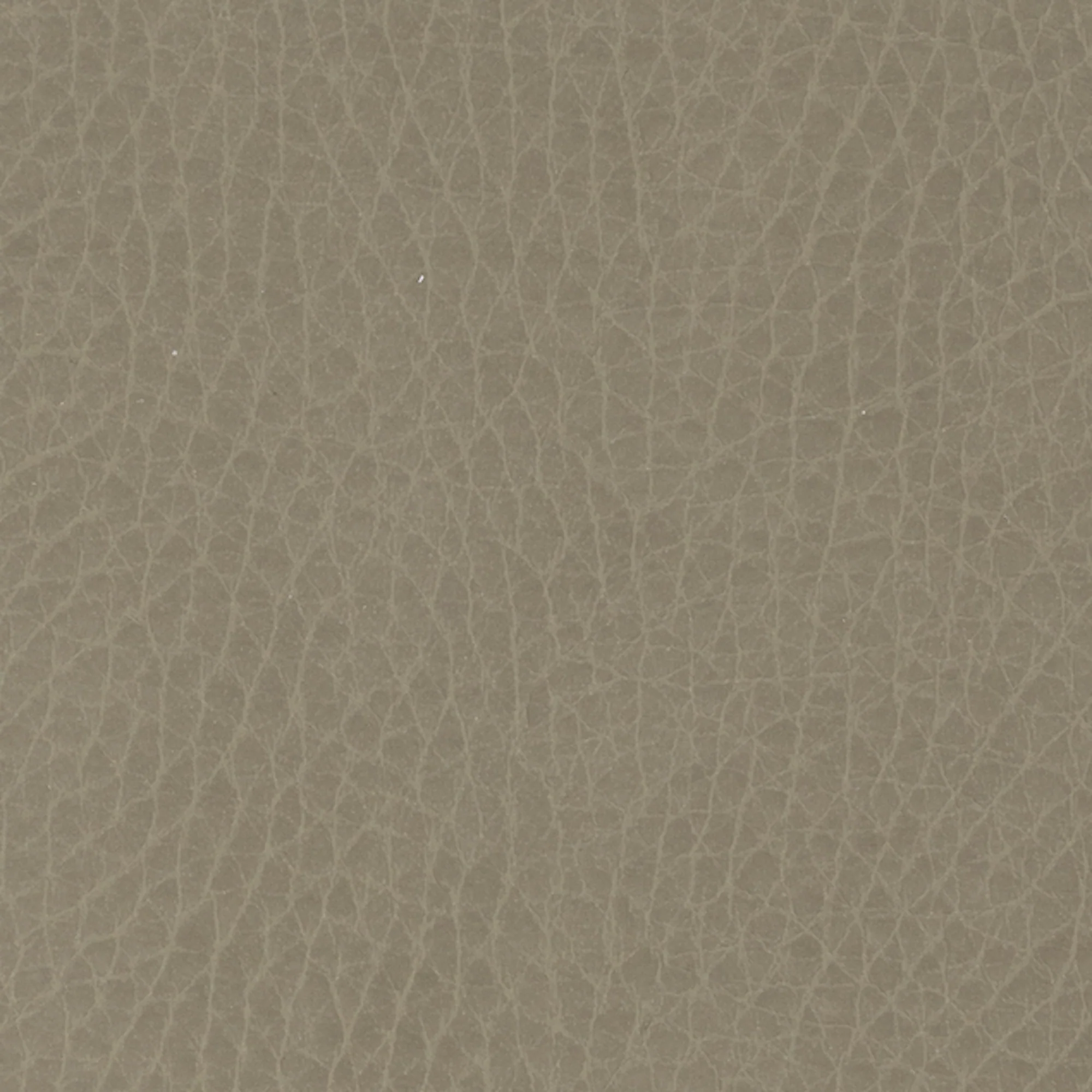 Swatches - Colors - Image 58
