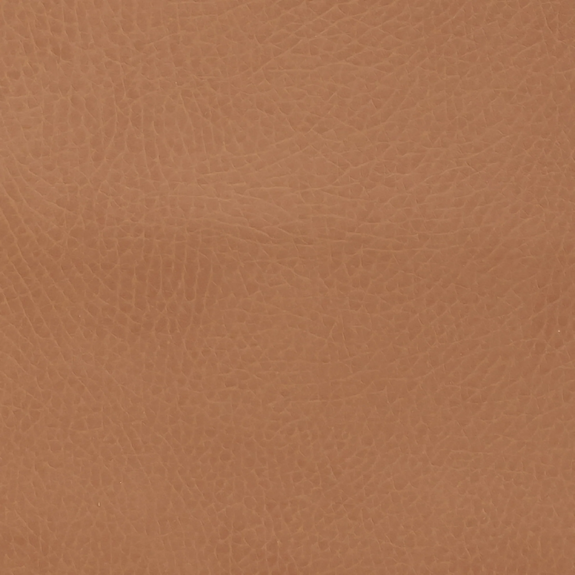 Swatches - Colors - Image 64