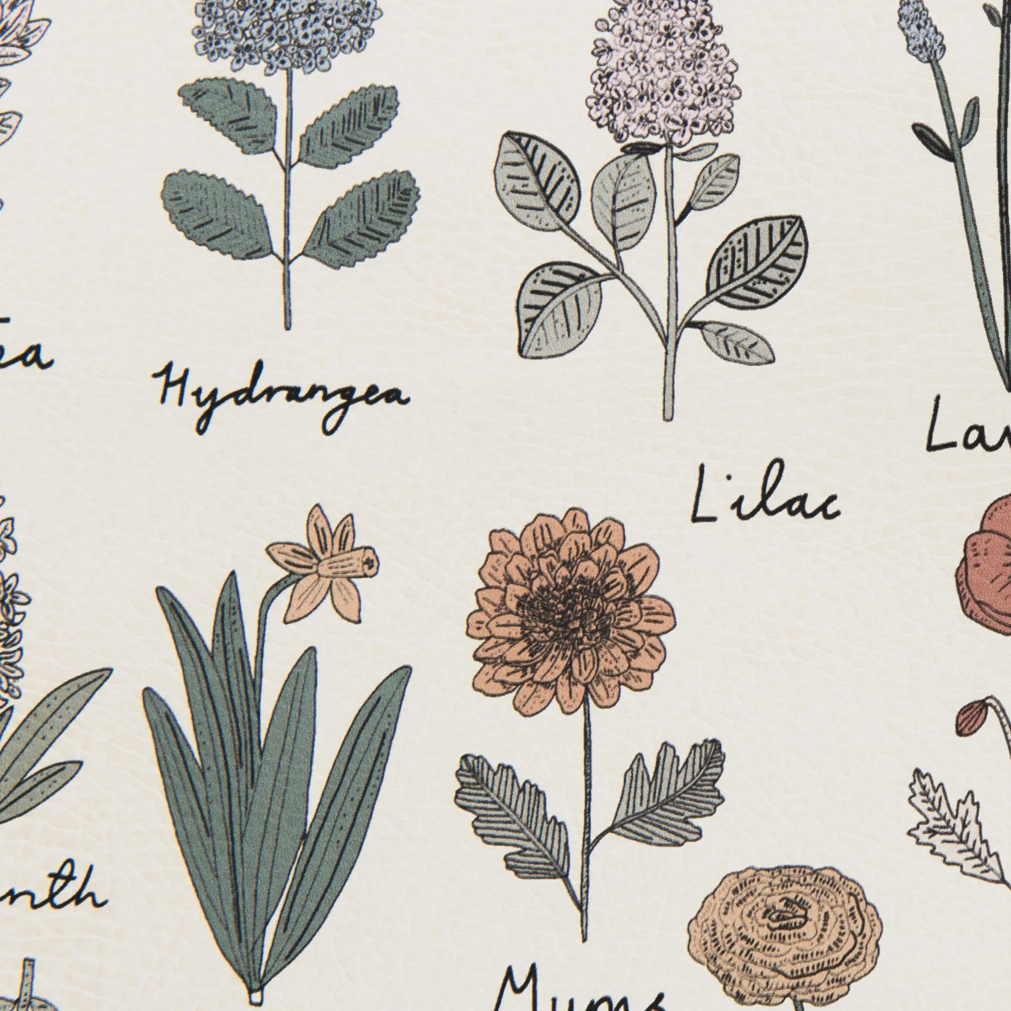 Swatches - Prints - Image 12