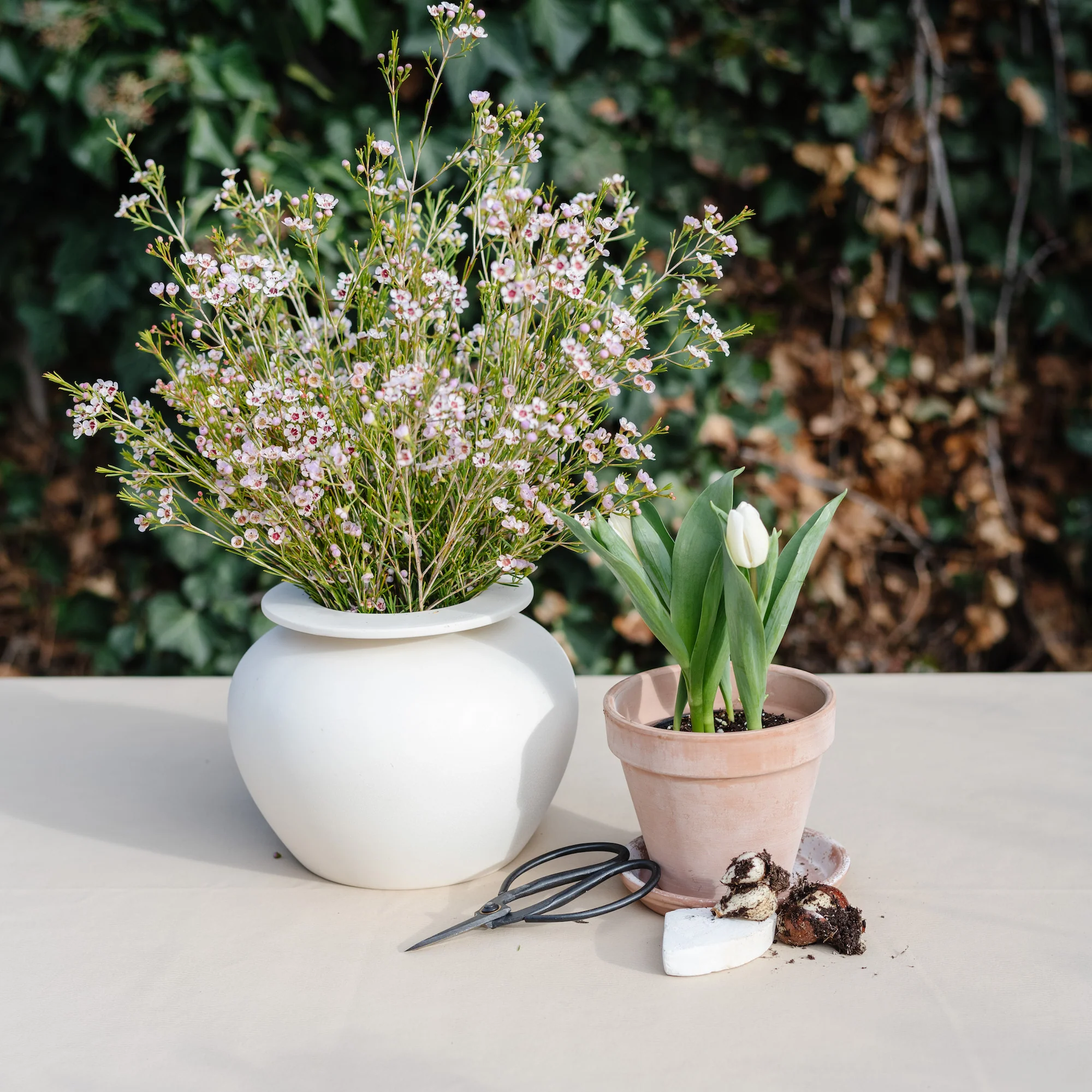 Tablecloth - Image 113