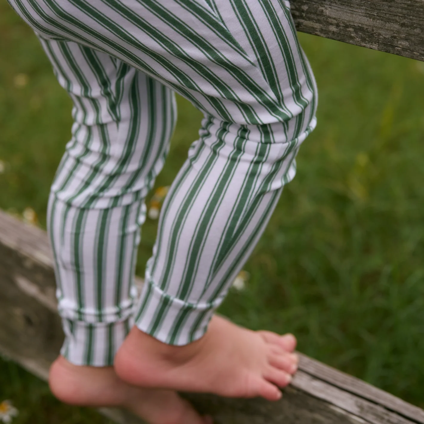 unisex boxwood ticking stripe pima pajamas set - Image 3