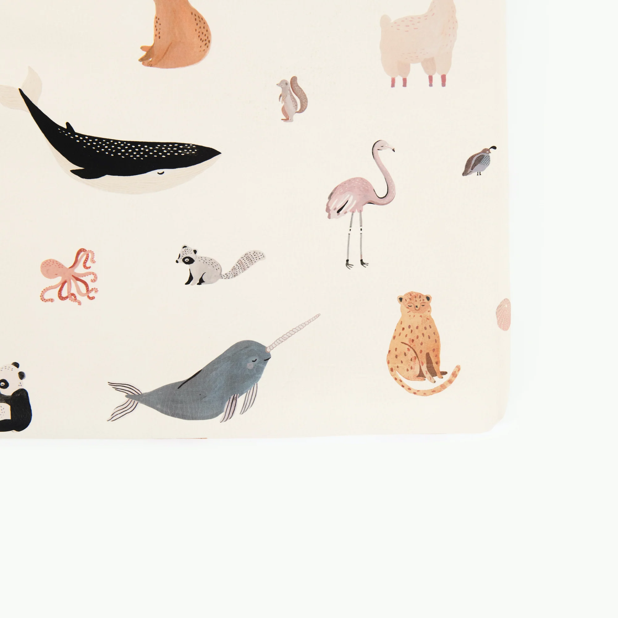 Wholesale Padded Changing Mat - Image 31